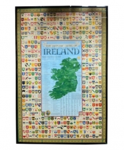 Coat of Arms of Irish Last Names - Poster Print