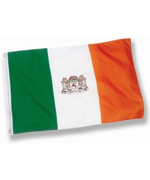 Irish Coat of Arms Ireland Flag - 3x5 foot