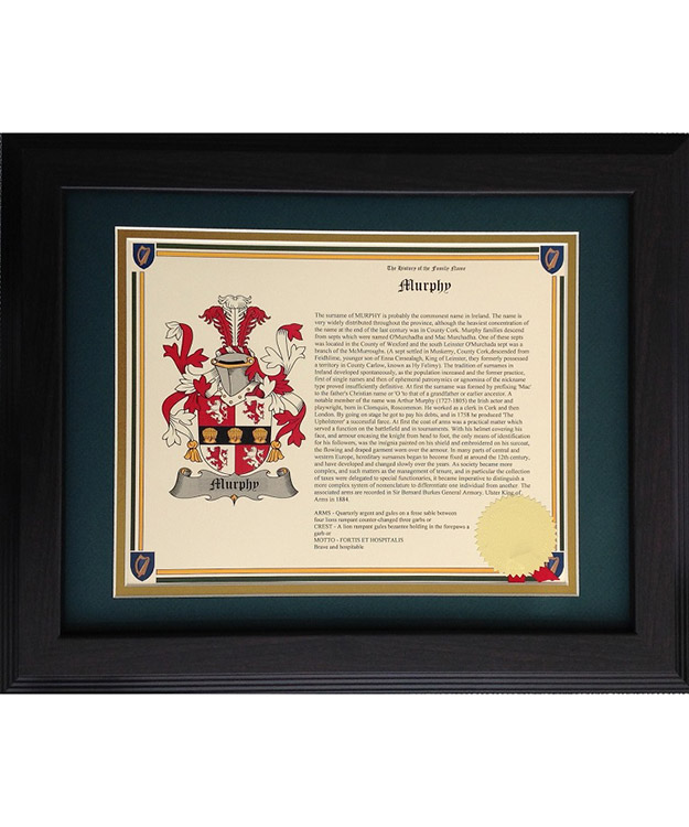 Coat of Arms Last Name History Prints Framed 