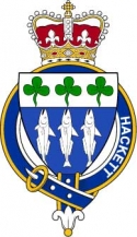 Families-of-Britain/H/Hackett-(Ireland)-Crest-Coat-of-Arms