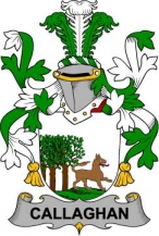 Irish/C/Callaghan-or-O'Callaghan-Crest-Coat-of-Arms