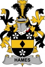 Irish/H/Hames-Crest-Coat-of-Arms