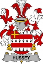 Irish/H/Hussey-or-O'Hosey-Crest-Coat-of-Arms