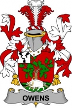 Irish/O/Owens-Crest-Coat-of-Arms