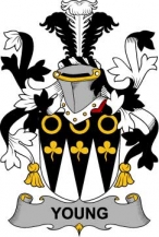 Irish/Y/Young-Crest-Coat-of-Arms