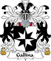 Italian/G/Gallina-Crest-Coat-of-Arms