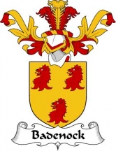 Scottish/B/Badenock-Crest-Coat-of-Arms