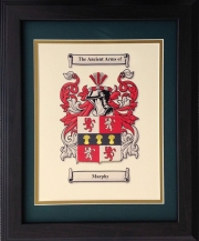 Personalized 11 x 14 Coat of Arms Matted & Framed Print