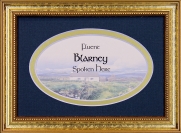 Fluent Blarney Spoken Here - 5x7 Blessing - Oval Gold Frame