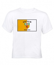 White T-Shirt - Full Chest GAA Flag - Front