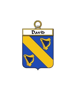 French/D/David-Crest-Coat-of-Arms