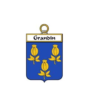 French/G/Grandin-or-Grondin-Crest-Coat-of-Arms