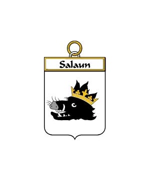 French/S/Salaun-Crest-Coat-of-Arms