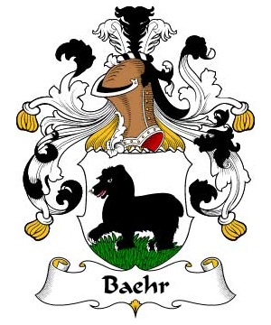German/B/Baehr-Crest-Coat-of-Arms