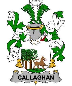 Irish/C/Callaghan-or-O'Callaghan-Crest-Coat-of-Arms