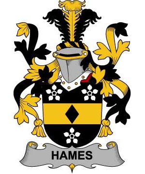 Irish/H/Hames-Crest-Coat-of-Arms