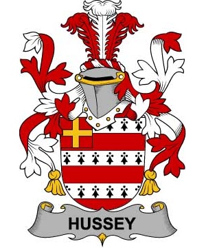 Irish/H/Hussey-or-O'Hosey-Crest-Coat-of-Arms