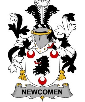 Irish/N/Newcomen-or-Newcombe-Crest-Coat-of-Arms