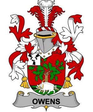 Irish/O/Owens-Crest-Coat-of-Arms