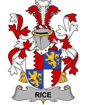 Irish/R/Rice-Crest-Coat-of-Arms
