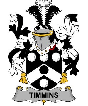 Irish/T/Timmins-Crest-Coat-of-Arms