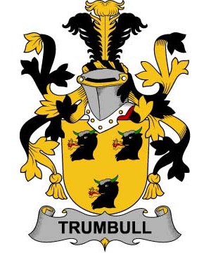 Irish/T/Trumbull-or-Turnbull-Crest-Coat-of-Arms