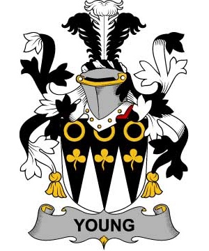 Irish/Y/Young-Crest-Coat-of-Arms