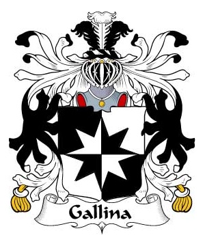 Italian/G/Gallina-Crest-Coat-of-Arms