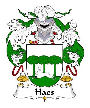 Portuguese/H/Haes-or-Hasse-Crest-Coat-of-Arms