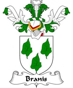Scottish/B/Branis-Crest-Coat-of-Arms