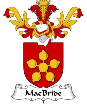 Scottish/M/MacBride-or-MacBraid-Crest-Coat-of-Arms