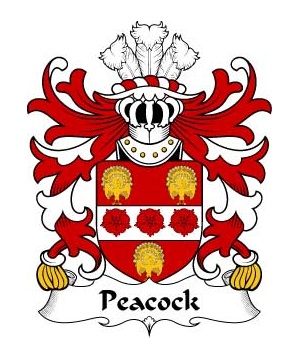 Welsh/P/Peacock-(or-Paucok-Pecok-Carmarthen)-Crest-Coat-of-Arms