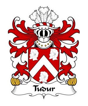 Welsh/T/Tudur-(AB-EDNYFED-FYCHAN)-Crest-Coat-of-Arms