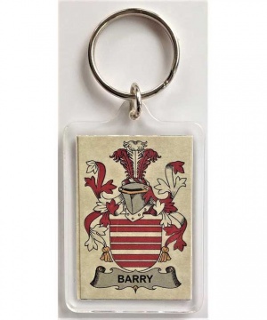 Coat of Arms Clear Plastic Acrylic Keychain