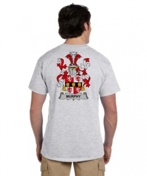 Coat of Arms T-Shirt - Full Back Gray