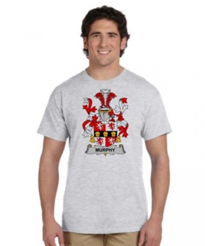 Coat of Arms T-Shirt (Gray)