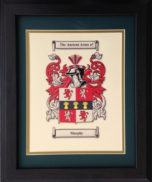 Coat of Arms Framed (11x14)