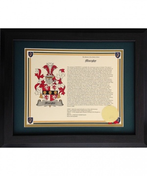 Coat-of-Arms Last Name History Prints (Framed)