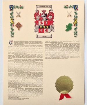 Coat of Arms & History Print - Small